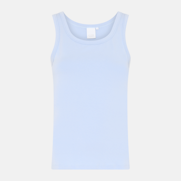 Ann bambu linne - Kentucky Blue